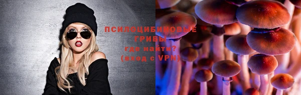 a pvp Михайловск
