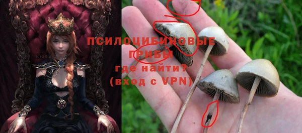 экстази Мегион