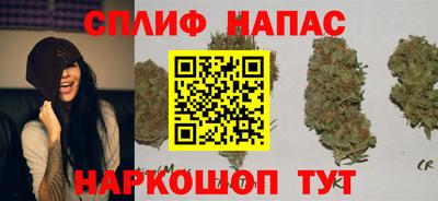 прущие грибы Гусь-Хрустальный