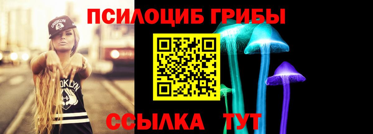 дарнет шоп  Лыткарино  Псилоцибиновые грибы MAGIC MUSHROOMS 
