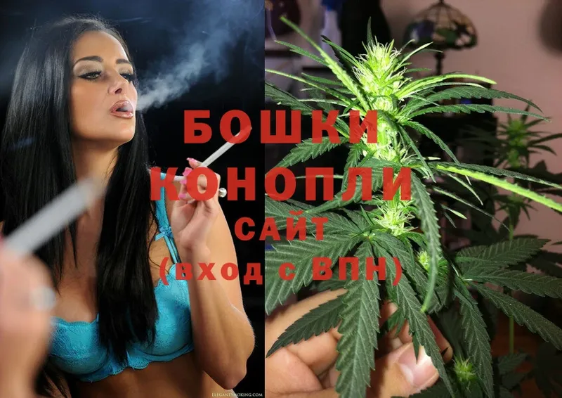 Бошки марихуана OG Kush  как найти закладки  Лыткарино 